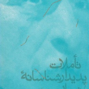 تاملات پدیدار شناسانه نیمایی