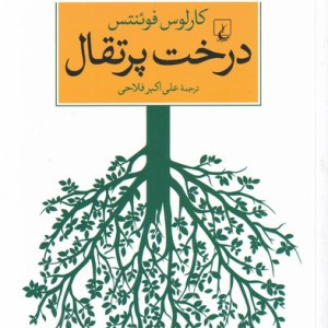 درخت پرتقال