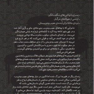 کتابخانه ارواح نشر پریان