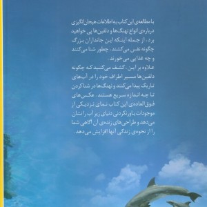 دنیای هیجان انگیز 4 نهنگ ها و دلفین ها