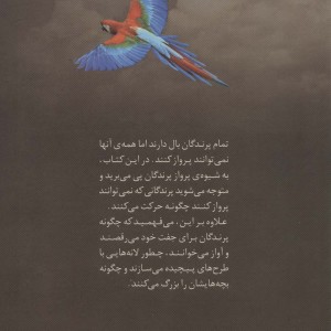 دنیای هیجان انگیز پرندگان