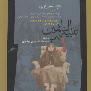 کتاب تنبیه النائمین نمودی از گفت و گو ها و مناظرات