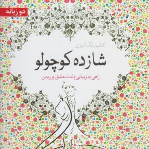 کتاب رنگ آمیزی بزرگسالان شازده کوچولو