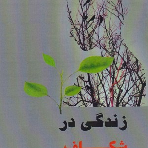 زندگی در شکاف صخره ها