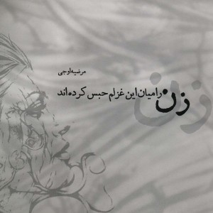 زن را میان این غزلم حبس کرده اند