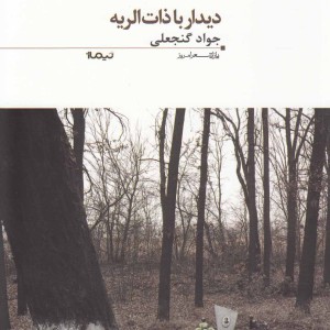 پازل شعر امروز 96 دیدار با ذات الریه