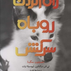 رام کردن روباه سرکش