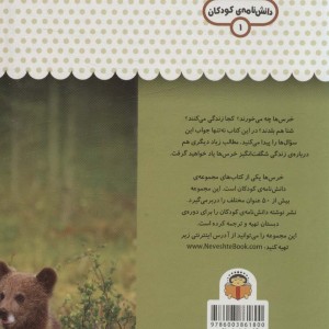 یک فنجان دانستنی درباره ی خرس ها