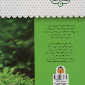 یک فنجان دانستنی درباره ی جغدها