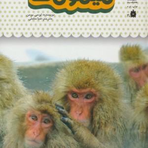یک فنجان دانستنی درباره ی میمون ها
