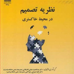 نظریه تصمیم در محیط خاکستری