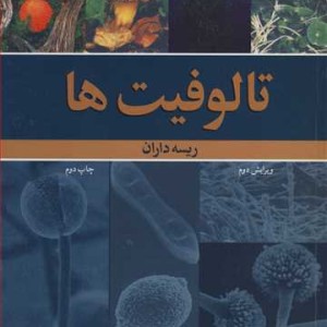 تالوفیت ها ریسه داران