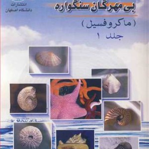بی مهرگان سنگواره