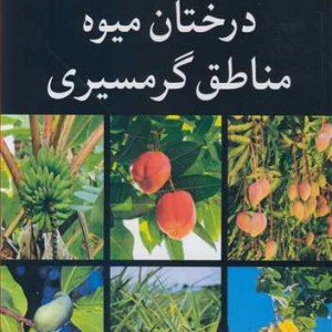 درختان میوه مناطق گرمسیری