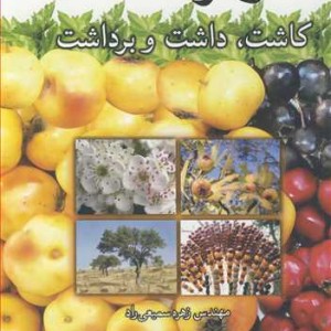 زالزالک کاشت داشت و برداشت