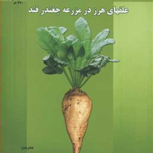 علفهای هرز در مزرعه چغندرقند
