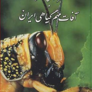 کتاب حشره شناسی مقدماتی و آفات مهم گیاهی ایران نشر یادبود