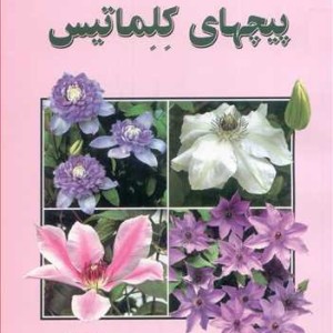 راهنمای کامل پرورش ونگهداری پیچهای کلماتیس
