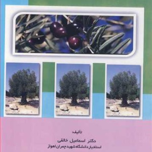 گل دهی و تناوب میوه دهی در زیتون و روش های کنترل آن