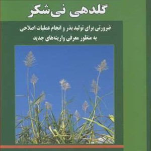 گلدهی نی شکر ضرورتی برای تولید بذر و انجام عملیات اصلاحی به منظور معرفی واریته های جدید