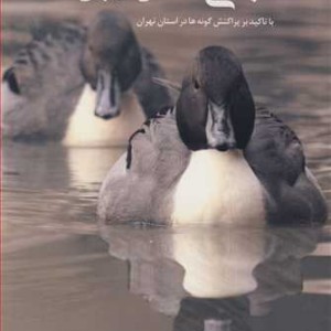 کتاب مرغابی سانان ایران با تاکید بر پراکنش گونه ها در استان تهران