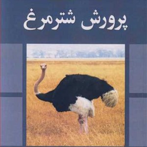 پرورش شترمرغ