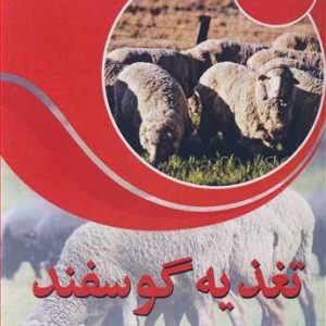تغذیه گوسفند نشر آییژ