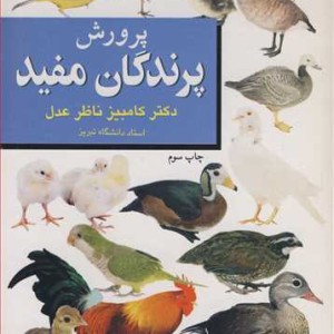 پرورش پرندگان مفید