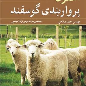 اصول پرواربندی گوسفند