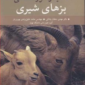 تغذیه و خوراک دهی بزهای شیری