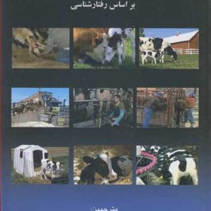 آسایش و رفاه گاو و گوساله براساس رفتارشناسی