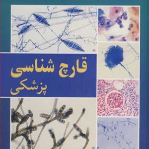 قارچ شناسی پزشکی