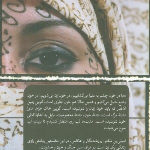 دجله به حال تو ناله کند