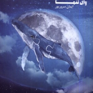 سفر کوانتومی وال تنها