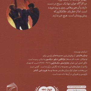 معمای جاده ساحلی از پسران هاردی 6
