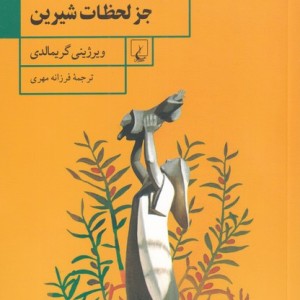 کاش چیزی نمی ماند جز لحظات شیرین
