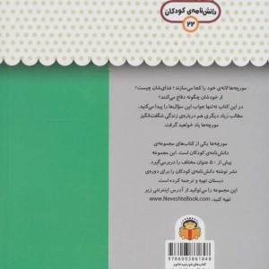 یک فنجان دانستنی درباره ی مورچه ها
