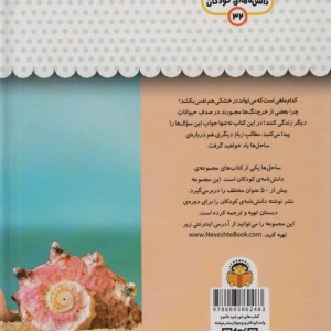 یک فنجان دانستنی درباره ی ساحل دریا