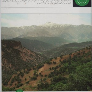 جنگل های زاگراس