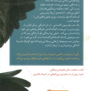 چرخه زاغ ها 1