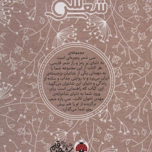 سی شعر