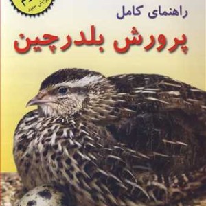 راهنمای کامل پرورش بلدرچین