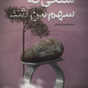 کتاب سنگی که سهم من شد