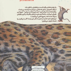 کتاب ماجراهای ریگو و رزا