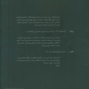 پرواز به تاریکی