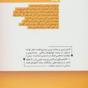 شما یک جوجه اردک زشت نیستید