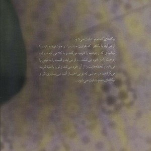 عاشق که شدی