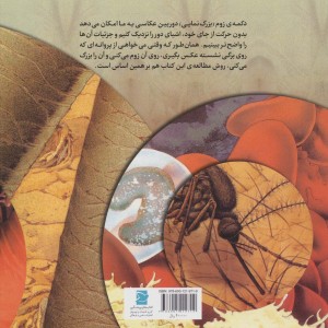 کتاب بدن انسان نشر علمی و فرهنگی پرنده آبی