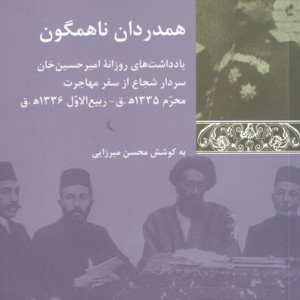 همدردان ناهمگون