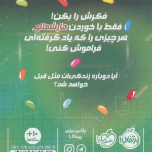 دردسرهای نابغه قلابی 2